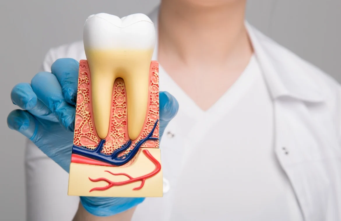Root-Canal-kamloops